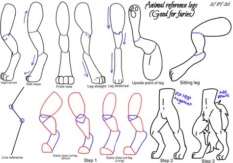 Anthro Dog Reference, Rabbit Leg Anatomy, Anthropomorphic Legs Reference, Anthro Cat Legs Reference, Cat Hind Leg Reference, Rabbit Legs Drawing Reference, Anthro Leg Reference, Bunny Art Reference, Horse Feet Drawing