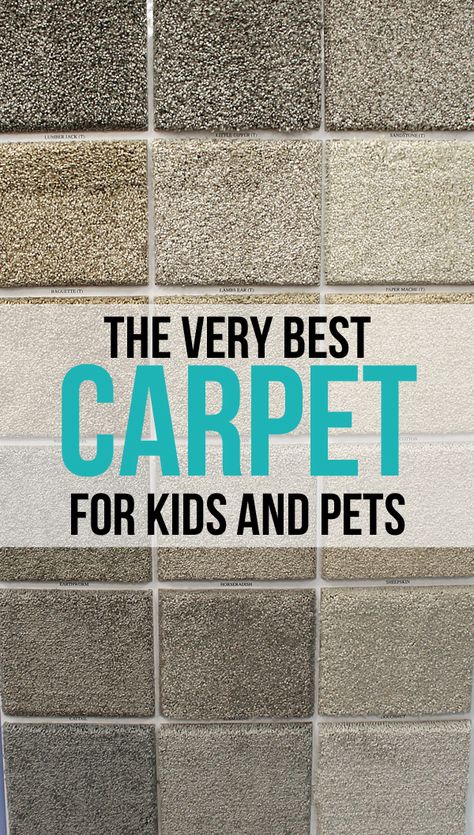 Carpet Diy, Basement Carpet, Neutral Carpet, Carpets For Kids, Carpet Stores, Kids And Pets, Date Photo, Home Carpet, Diy Carpet