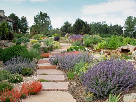 Landscaping Colorado, Colorado Landscaping, Xeriscape Front Yard, Xeriscape Landscaping, Denver Botanic Gardens, Waterwise Garden, Succulent Landscaping, Telluride Colorado, Breckenridge Colorado