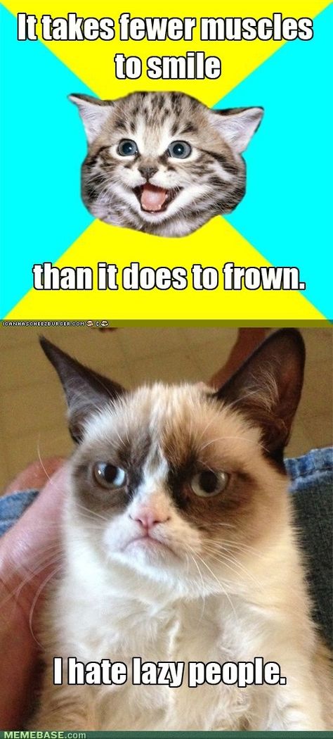 Get Some Exercise - Grumpy Cat Grumpy Cat Disney, Grumpy Cat Valentines, Kind Meme, Grumpy Cat Cartoon, Grumpy Cat Art, Grumpy Cat Birthday, Grumpy Cat Christmas, Grumpy Cat Meme, Grumpy Cat Quotes