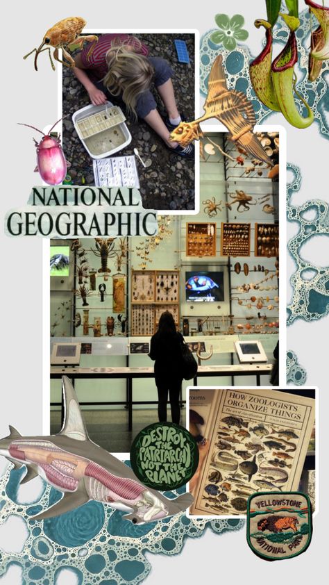 #zoology #zoologist #nature #biology #wildlifebiology #conservation #research #science #dreamlife #museum Zoologist Career, Zoology Career, Summer Themed Wallpaper, Animal Infographic, Vet Medicine, Conservation Biology, Wildlife Biologist, Eco Life, Animal Conservation