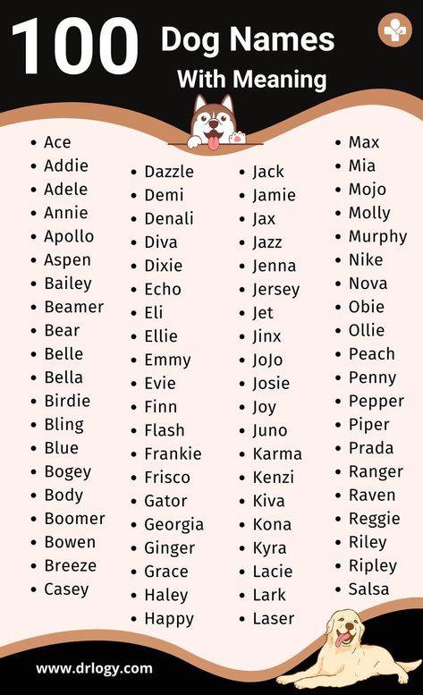 Dog Names Name With Meaning, Turtle Names, Boy Dog Names, Hamster Names, Girl Dog Names, Rabbit Names, Bearded Dragon Cute, Boy Girl Names