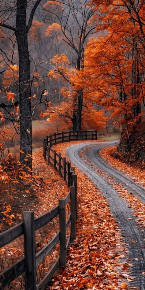 Beautiful Autumn Pictures, Nature Places Aesthetic, Cute Fall Pictures Aesthetic, Happiness Wallpaper Aesthetic, Autumn Wallpapers Iphone, Happy Mood Wallpaper, Aesthetic Fall Images, Autumn Beauty Wallpaper, Autumn Wallpaper Phone