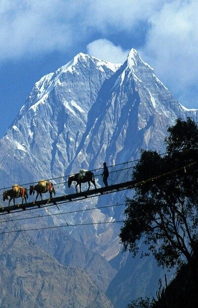 Pukhara Valley Nepal Himalayas Nepal, Monte Everest, Nepal Culture, Nepal Travel, India Travel, Asia Travel, Tibet, Where To Go, Nepal