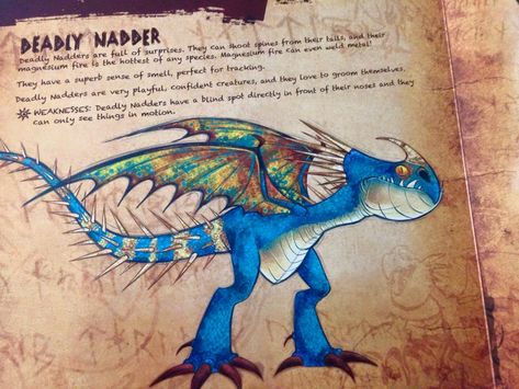 Stormfly the Deadly Nadder from The Book of Dragons of How to Train Your Dragon The Book Of Dragons, Book Of Dragons, Deadly Nadder, Tiamat Dragon, Draw My Oc, Dragon Book, Creaturi Mitice, Httyd Art, Dragon Movies