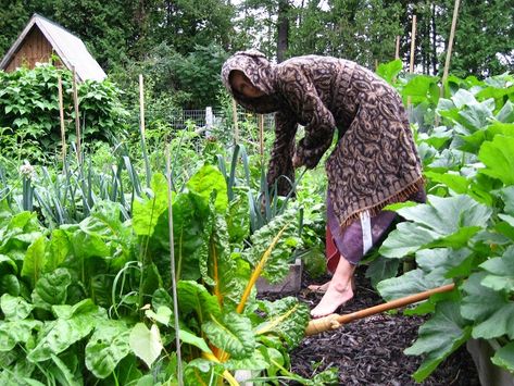 Witchy Habits, Invisible Power, Solitary Witch, Witchy Garden, Cottage Witch, Which Witch, Green Witchcraft, Wicker Bedroom, Witch Garden