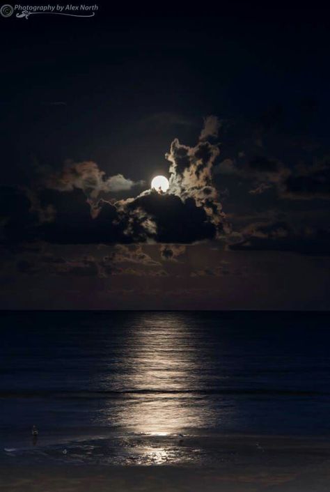 Full moon Full Moon Beach Photography, Full Moon Beach, Vision Boarding, Moon Sea, Moon Beach, Shoot The Moon, Beach Wallpaper, Cute Disney Wallpaper, Sky Aesthetic