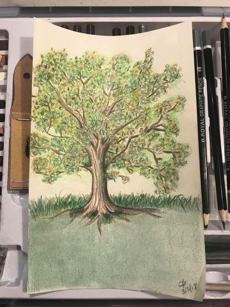 Drawing Trees With Colored Pencils, Color Pencil Tree Drawing, Tree Drawing Colored Pencil, Tree Colored Pencil, Rebirth Art, Trees Drawing Tutorial, Drawing With Colored Pencils, Tree Drawings, Body Gestures