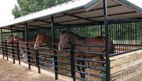 Lean To Horse Stalls, Outdoor Horse Stalls, Shedrow Horse Barn, Mare Motel, Simple Horse Barns, Metal Horse Barns, Horse Shed, Training Horses, Horse Farm Ideas