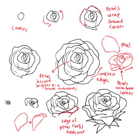 ALMOST AS COOL AS YOU — THERE ARE DIFFERENT KINDS OF PEONIES idk which one... How To Draw Roses, Hur Man Ritar Blommor, Rose Step By Step, Draw A Rose, Roses And Peonies, Seni Vintage, Flower Drawing Tutorials, Rose Drawing, Roses Drawing