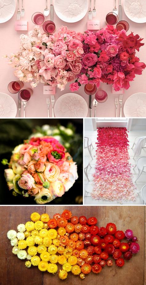 gorgeous! i love all of these! Ombre Flower Arrangements, Bridal Colors, Ombre Flowers, Ombre Wedding, Prettiest Bouquet, Flowering Vines, Ideal Wedding, Design Website, Pull Off