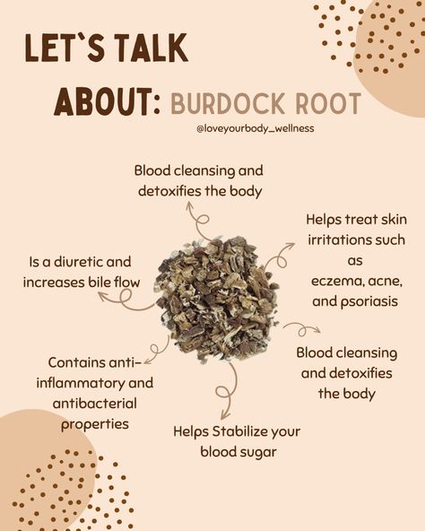 Books And Tea, Natural Antibiotic, Medicinal Herbs Garden, Medical Herbs, Magic Herbs, Burdock Root, Herbal Apothecary, Natural Healing Remedies, Natural Antibiotics