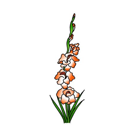 How To Draw Gladiolus Flower Step By Step, How To Draw Gladiolus, Gladiolus Flower Drawing, Draw A Sunflower, White Narcissus, Easy Drawing Guides, Hyacinth Flowers, Flower Step By Step, Gladiolus Flower