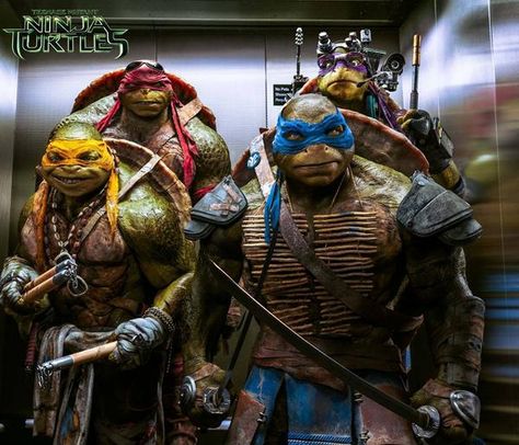 MC Mikey Ninja Turtles 2014, Ninja Turtles 2, Teenage Mutant Ninja Turtles Movie, Hulk Character, Turtle Top, Turtle Wallpaper, Ninja Turtles Movie, Tmnt Movie, Меган Фокс