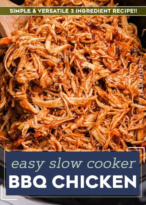 Crockpot Bbq Pulled Chicken Frozen, Slow Cooker Bbq Chicken Sliders, Shredded Chicken Sliders Crockpot, Pulled Chicken Crock Pot Recipes Bbq, Slow Cooker Chicken Sliders Recipes, Shredded Bbq Chicken Recipes Crockpot, Easy Bbq Pulled Chicken Crockpot, Pulled Barbecue Chicken Crock Pot, Pulled Chicken For A Large Crowd