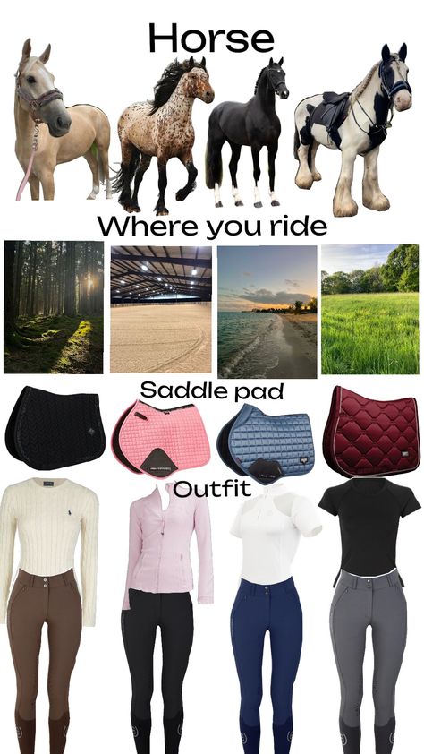 #englishriding #outfit #equestrian #equestrianfashion #horses #horsegirl Equestrian Outfits Black Women, Equestrian Aesthetic Outfit, Hr Outfits, Winter Riding Outfits, English Horse Riding Outfits, Alaina Core, Reit Outfits, Horse Riding Outfit Casual, Horse Riding Outfits