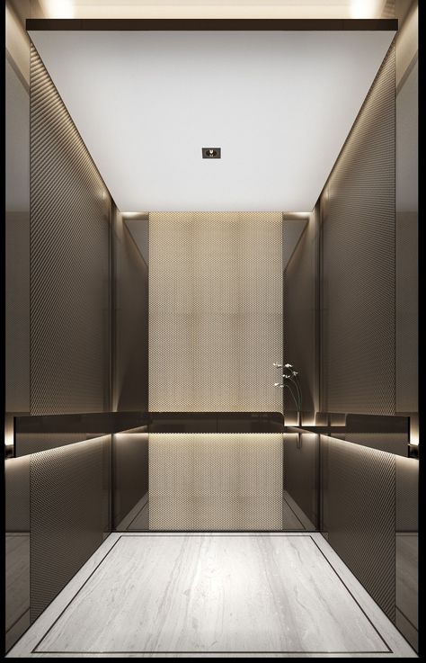 Lift Lobby Design, Elevator Lobby Design, Lift Lobby, Elevator Interior, Elevator Lobby, Lobby Interior Design, Elevator Design, Lift Design, Lobby Interior