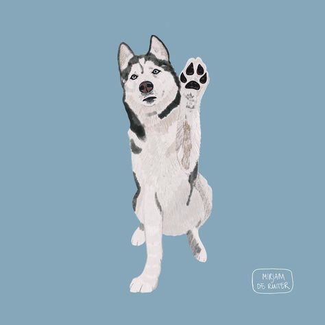 drawing ideas, dogs lovers, cool art drawing, dog pfp, easy drawing, cute easy drawing, drawing inspo, drawing ideas easy, dog, drawing ideas creative, cute mini drawing, dog draw tutorial, dogging, dogs, face drawing, dog drawing reference, dog painting, simple drawing, animal drawing Husky Art Cartoon, Siberian Husky Illustration, Husky Illustration Cute, Husky Cartoon Wallpaper, Husky Painting Easy, Husky Animation, Husky Drawing Sketches, Husky Drawing Cartoon, Drawing Ideas Easy Dog