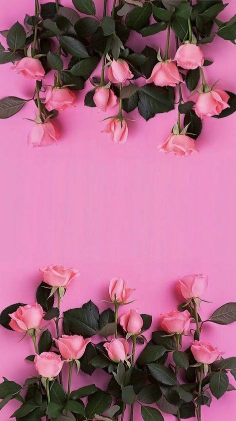 Pink Flowers Wallpaper, Beautiful Pink Flowers, Trendy Flowers, Flower Background Wallpaper, Pink Wallpaper Iphone, Flower Phone Wallpaper, Pink Iphone, Rose Wallpaper, Rose Art