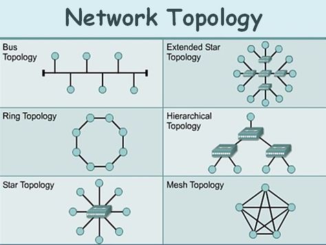 Different types of #Topologies in #networking...... Types Of Network Topology, Network Topology, Networking Basics, It Certifications, Creative Book Cover Designs, Types Of Network, Becoming Successful, Creative Book Covers, Study Flashcards