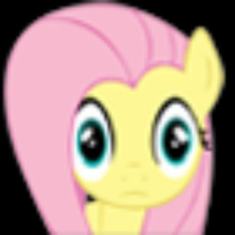 Mlp Funny, Mlp Memes, My Lil Pony, Mlp Pony, My Little Pony Pictures, Mlp My Little Pony, Fluttershy, Rainbow Dash, Equestria Girls