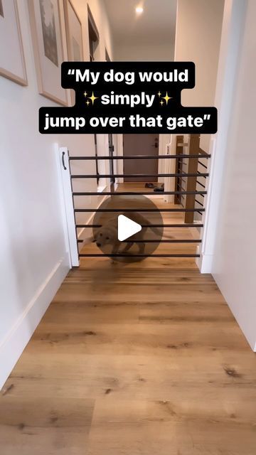 Rachel Hoch on Instagram: "So many people have commented that their dog would just jump over these pocket gates… 

I guess my dogs aren’t very athletic 💀😂

We added these as an alternative to traditional baby gates and have LOVED them. They slide back into the wall and out of sight when not in use. 

One of my favorite home hacks! 

✨Comment for details!✨

#home #homehacks #homebuild #homedesign #newconstruction #newbuild #homebuild #homeinspo #pocketdoor #pocketgate #hiddendoor #dog #goldenretriever #goldenretrieverpuppy #puppy" Baby Gates, Hidden Door, Laundry Mud Room, So Many People, Pocket Doors, Home Hacks, Many People, New Builds, New Construction