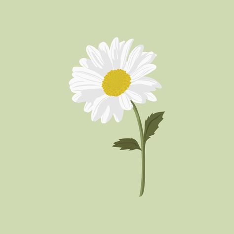 Daisy Flower Drawing, Margarita Flower, Aesthetic Daisy, Daisy Clipart, White Flower Wallpaper, Daisy Drawing, Sunflower Illustration, Printable Wall Collage, Gerbera Flower