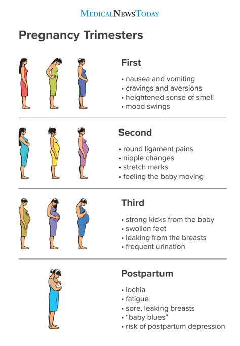 Pregnancy Trimester, Pregnancy Chart, Pregnancy Timeline, Pregnancy Checklist, Planning Pregnancy, Pregnancy Info, Pregnancy Guide, Baby Life Hacks, Pregnancy Advice