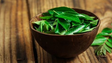 Let's clear up a few misconceptions about curry leaves: First, they are not related to curry powder; the latter is a blend of ground spices, as opposed to the curry leaf-producing plant, called Murraya koenigii. But if you can't get your hands on curry leaves, a few substitutions may do the trick. Diy Hair Oil, Curry Leaf, Home Remedies For Hair, Hair Control, Indian Cooking, Curry Leaves, Natural Home Remedies, Breast Milk, Hair Oil