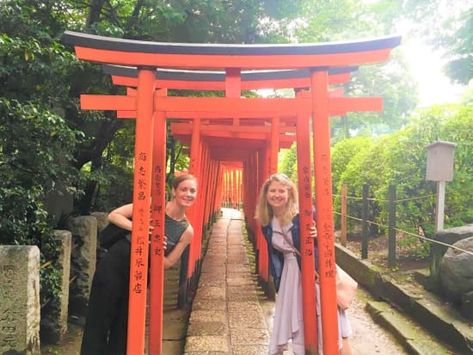 Yanaka Cultural Walking Tour with Yanaka Ginza Shopping Street & Nezu Shrine tours, activities, fun things to do in Tokyo(Japan)｜VELTRA Things To Do In Tokyo, Tokyo Tour, Japan Life, Japan Itinerary, Tokyo Hotels, Buddhist Temple, Travel Info, Japanese Artists, Old World Charm