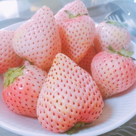 Japan Candy Box on Twitter: "White strawberries are a specialty in Japan! 🍓 These delicious treats are white both outside and inside! ✨😋 They are a popular gift and can be expensive to buy. 😮🎉 Have you ever tried them? 😍► https://t.co/hIPvH8Ydkc #japancandybox #japanesecandy #whitestrawberries #japan… https://t.co/8K3l14F2iV" White Strawberry Aesthetic, White Strawberries, Strawberry Food, Strawberry Cute, Pink Strawberries, Strawberry Aesthetic, Fruit Basket Gift, Japan Candy, Strawberry Color