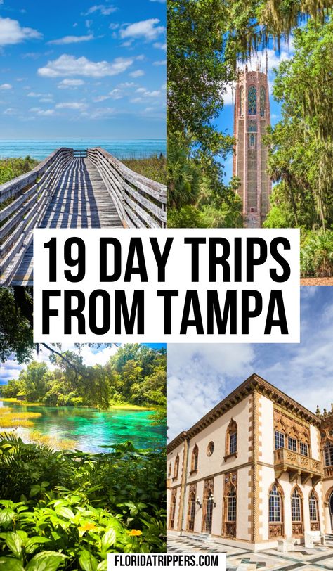 What To Do In Tampa Florida, Tampa Fashion, Florida Day Trips, Lutz Florida, Vacation In Florida, Florida Trips, Palmetto Florida, Things To Do In Florida, Florida Vacation Spots