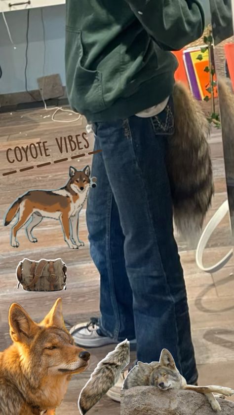 Coyote Tail, Animal Tails, Maybe In Another Life, In Another Life, Animals