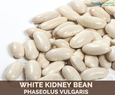 White Kidney Bean Extract Benefits, White Kidney Bean Recipes, Beans Benefits, Canellini Beans, Recipes With Kidney Beans, White Kidney Beans, Clean Eating Salads, Red Kidney Bean, Cannellini Beans