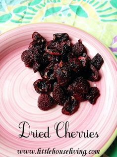 Dried Sour Cherry Recipes, Dehydrating Cherries, Dried Cherries Recipes, Dried Cherry Recipes, Cheesecake Minis, Dehydrated Recipes, Dehydrating Recipes, Raspberry Swirl Cheesecake, Dehydrating Food