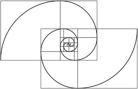 Double Fibonacci Spiral design. Fibonacci Spiral Art, Fibonacci Tattoo, Golden Section, Fibonacci Golden Ratio, Spiral Art, Golden Spiral, Fibonacci Sequence, Fibonacci Spiral, Sacred Geometry Art