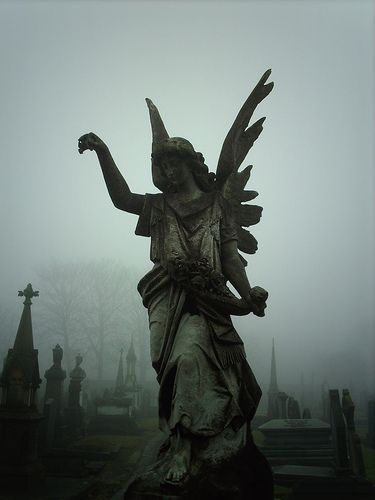 Angel in the mist | Flickr - Photo Sharing! Images Terrifiantes, Cemetery Angels, Cemetery Statues, Istoria Artei, Angel Statue, Cemetery Art, Angel Statues, Gothic Aesthetic, Arte Horror