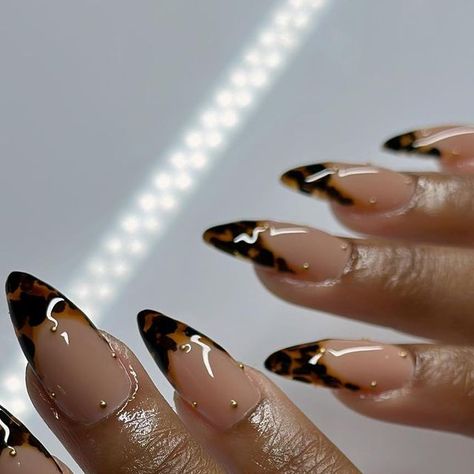 Tortoise Shell Acrylic Nails, Tortoise And Gold Nails, Fall Nails 2023 Trends Almond, Almond Nails Tortoise, Tort Shell Nails, Tortoise Shell Nails With Gold, Tortus Shell Nails, Apres Gel X Nails Almond, Fall Nails 2023 Almond