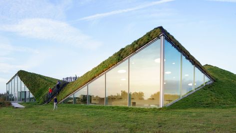 Shed Roof Design, Green Roof Garden, Green Roof House, Construction Details Architecture, Modern Shed, Green Roofs, Living Roofs, Concrete Building, Shed Roof