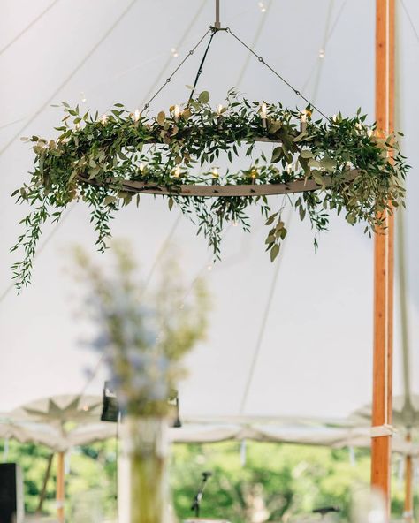 Bespoke Wedding/Event Lighting on Instagram: “Letting our chandelier have a moment to shine above the dance floor ✨ ​. ​. ​. ​Venue: @thebarnatflanaganfarm ​Photo:…” Greenery On Chandelier, Greenery Installation, Reception Lighting, Wedding Reception Lighting, Floral Installations, Wedding Chandelier, Ring Chandelier, Ceiling Installation, Room Deco