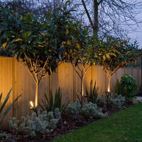 Backyard Fence Decor, Landscaping Along Fence, Garden Lighting Design, Fence Plants, Backyard Trees, Backyard Plants, Backyard Privacy, Outdoor Lighting Landscape, Fence Landscaping