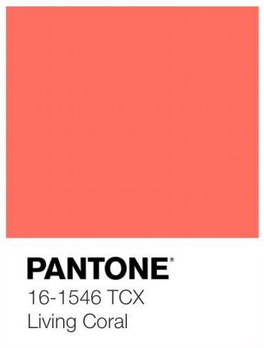 Coral Paint Colors, Coral Interior, Coral Colour Palette, Coral Colour, Coral Wallpaper, Coral Walls, Pantone Colour Palettes, Pantone Color Of The Year, Coral Design