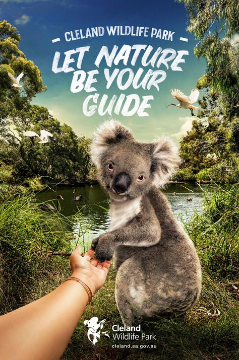 Advertisement by Showpony, Australia Zoo Marketing, Animals Australia, Tourism Design, Universal Parks, Australia Tourism, Ad Of The World, Travel Ads, Creative Advertising Campaign, Campaign Posters