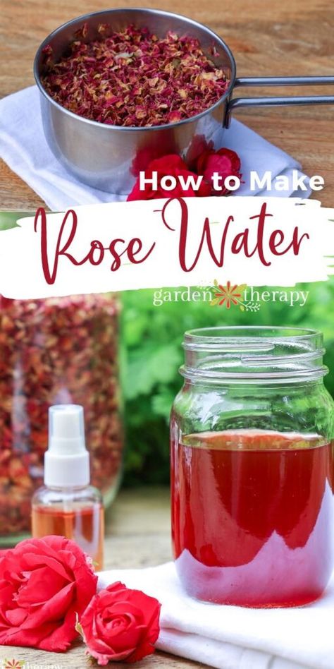 Rose Water Drink Recipes, Rose Water Drink, Making Rose Water, Make Rose Water, Bath Confetti, Homemade Rose Water, Rose Water Diy, Fresh Rose Petals, Rose Hydrosol