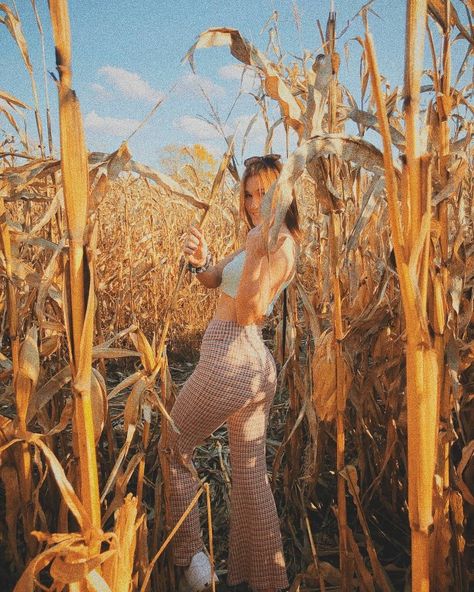 Fall Photoshoot Pumpkins, Corn Maze Pictures, Outside Senior Pictures, Pumpkin Patch Photoshoot, Pumpkin Patch Pictures, Autumn Instagram, Corn Field, Pumpkin Patch Outfit, Fall Senior Pictures