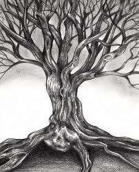 Cool tree drawing Gnarly Tree, Roots Drawing, Pencil Drawings Of Nature, Easy Pencil Drawings, Tree Drawings Pencil, Pencil Trees, Pencil Sketch Drawing, Drawing Hair, Tree Sketches