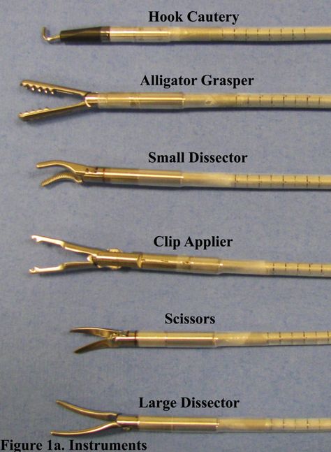 Laparoscopic Cholecystectomy Using A Novel Single-Incision Surgical Platform Through A Standard 15mm Trocar - SAGES Abstract Archives Surgical Tech Notes, Surgical Tech Aesthetic, Sterile Processing Tech, Surgical Technologist Student, Sterile Processing, Surg Tech, Perioperative Nursing, Surgical Technician, Scrub Tech