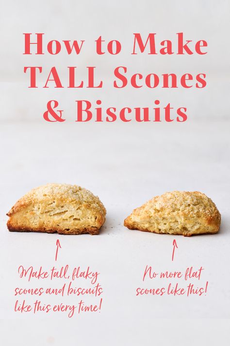 Struggling with flat scones or biscuits? Here’s everything you need to know about how to bake TALL scones and biscuits that rise higher with those ultra flaky layers. #scones #biscuits #bakingtips #bakingscience Scones With Shortening, Ultimate Cookie Recipe, Sweet Scones, Mini Scones, Baking Scones, How To Make Scones, Scone Mix, Scones Recipe Easy, Bakery Style Muffins