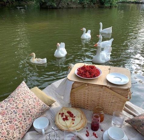 Picnic Inspiration, Cottage Aesthetic, Picnic Date, Spring Mood, Cottage Core Aesthetic, Spring Aesthetic, + Core + Aesthetic, Spring Vibes, A Picnic