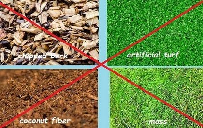 bad and unacceptable substrates for bearded dragons Bearded Dragon Substrate Ideas, Bearded Dragon Substrate, Rabbit Pellets, Dragon Pet, Bearded Dragon Terrarium, Bearded Dragon Food, Bearded Dragon Tank, Baby Bearded Dragon, Dragon Names